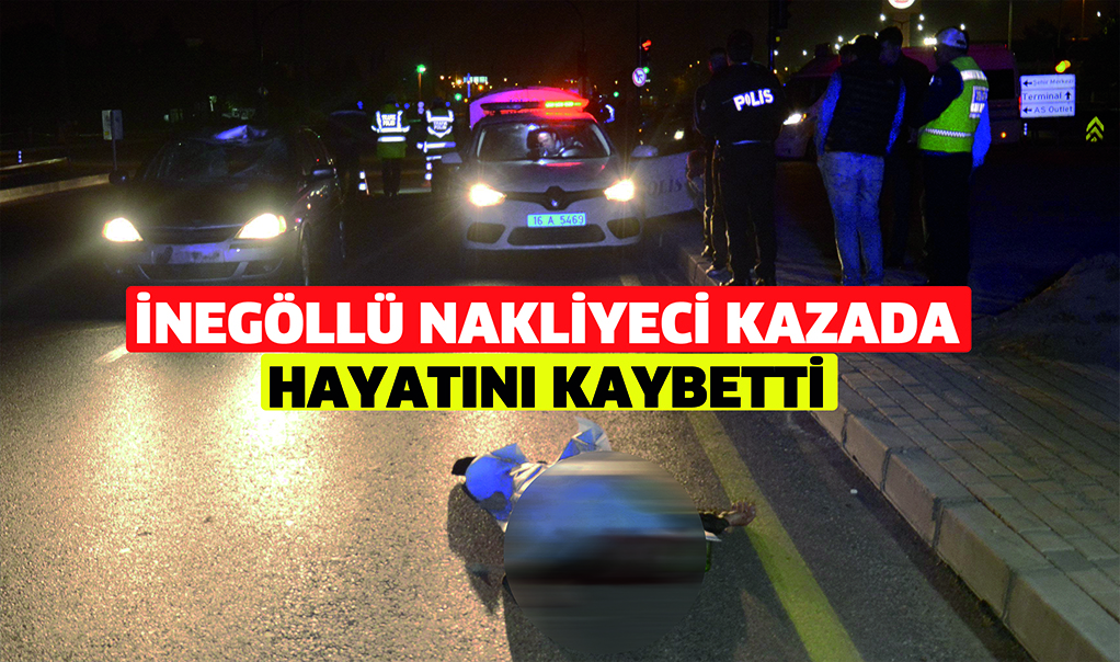 İnegöllü nakliyeci kazada hayatını kaybetti