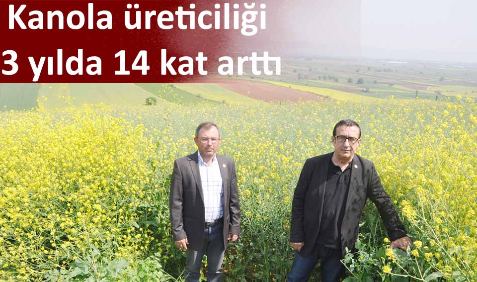 Kanola üreticiliği 3 yılda 14 kat arttı