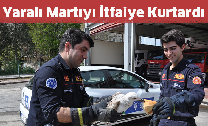 Yaralı Martıyı İtfaiye Kurtardı