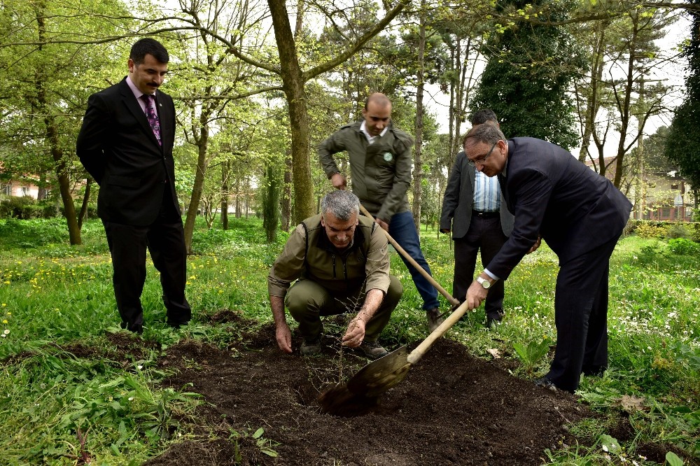 Bin Meyve Fidanı Toprakla Buluştu
