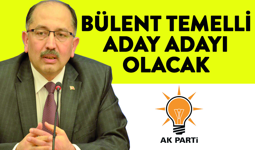 Bülent Temelli aday adayı olacak