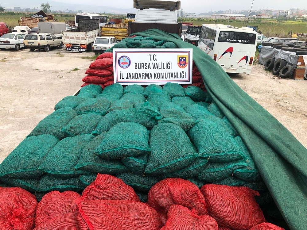 Bursada 30 Ton Kaçak Midye Ele Geçirildi
