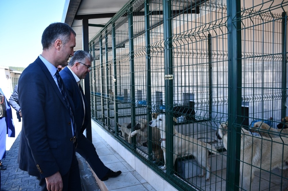 Bursaya Örnek Hayvan Bakım Merkezi