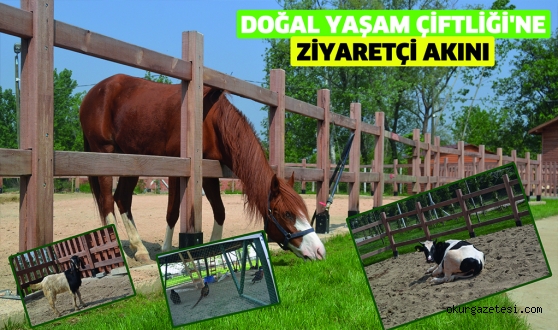 Doğal Yaşam Çiftliği’ne ziyaretçi akını