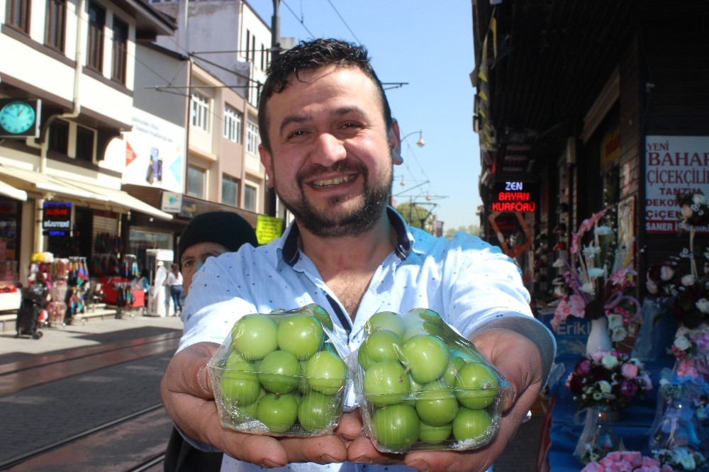 Fiyatı 300 Liradan 25 Liraya Düşen Süt Eriği Tezgâhları Süslüyor