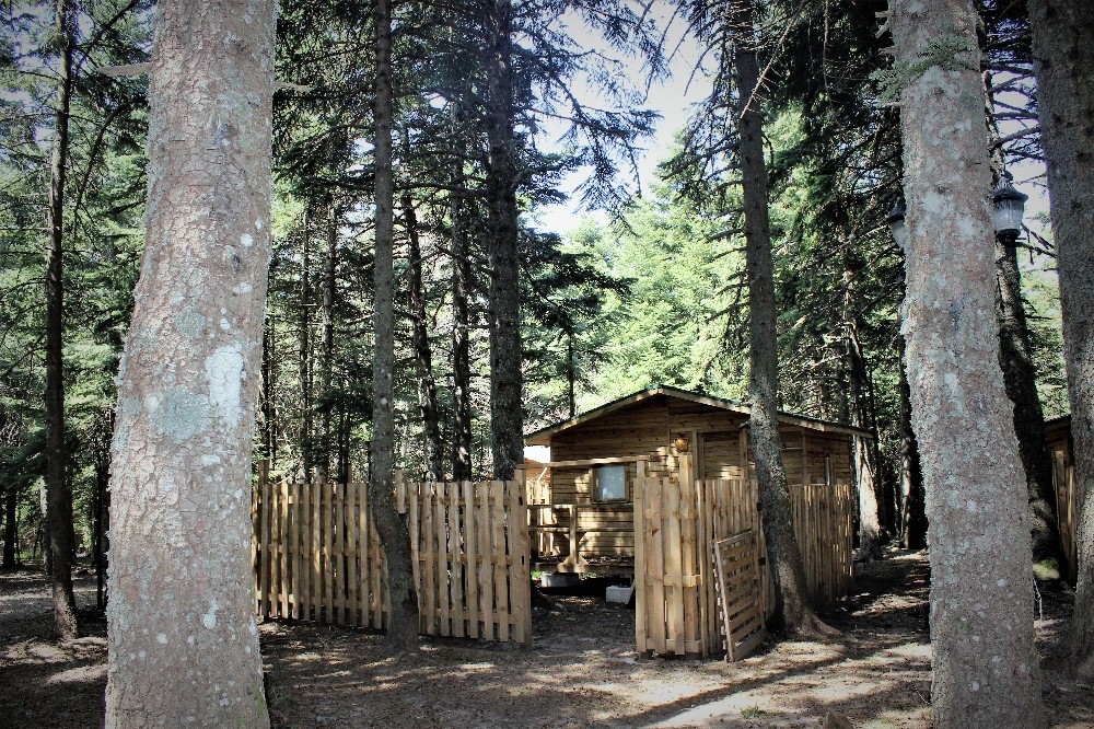 Günlük 22 Liraya Uludağda 5 Yıldızlı Tatil Başlıyor