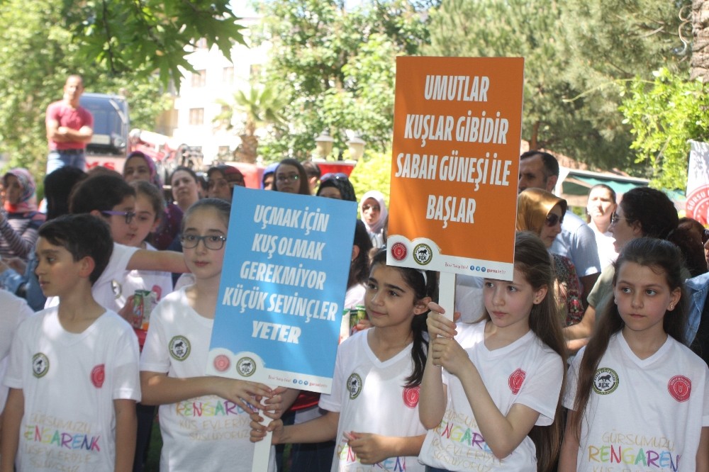 Gürsuda Ağaçlar Rengarenk Kuş Evleriyle Donatıldı