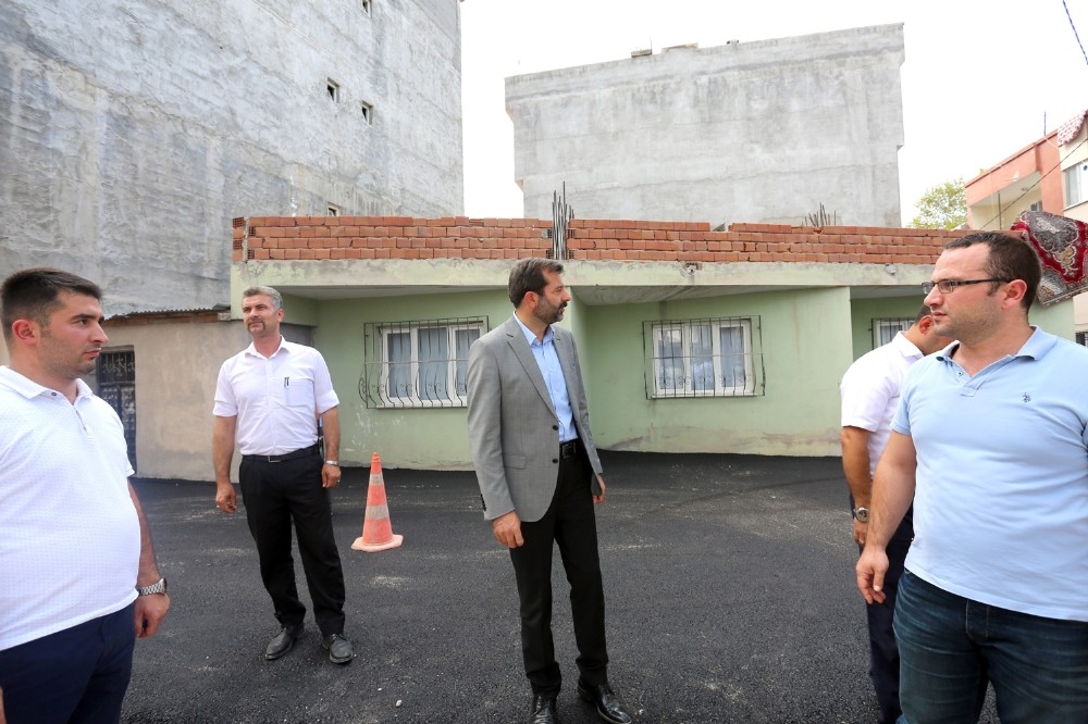 Gürsuya Bahar Dokunuşu