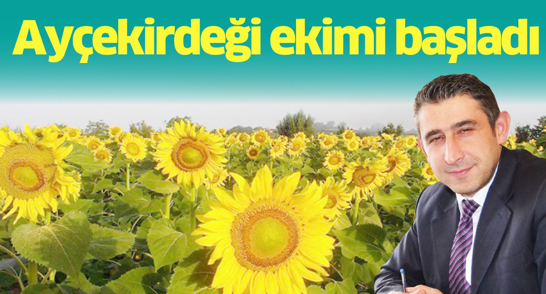 Ayçekirdeği ekimi başladı