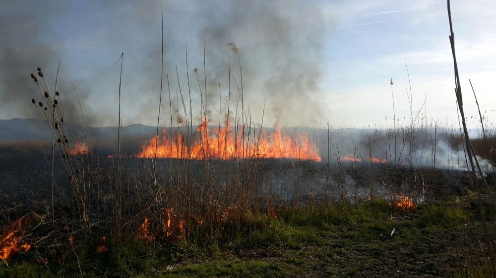 İznik Gölü Kıyısındaki Sazlıklar Alev Alev Yandı