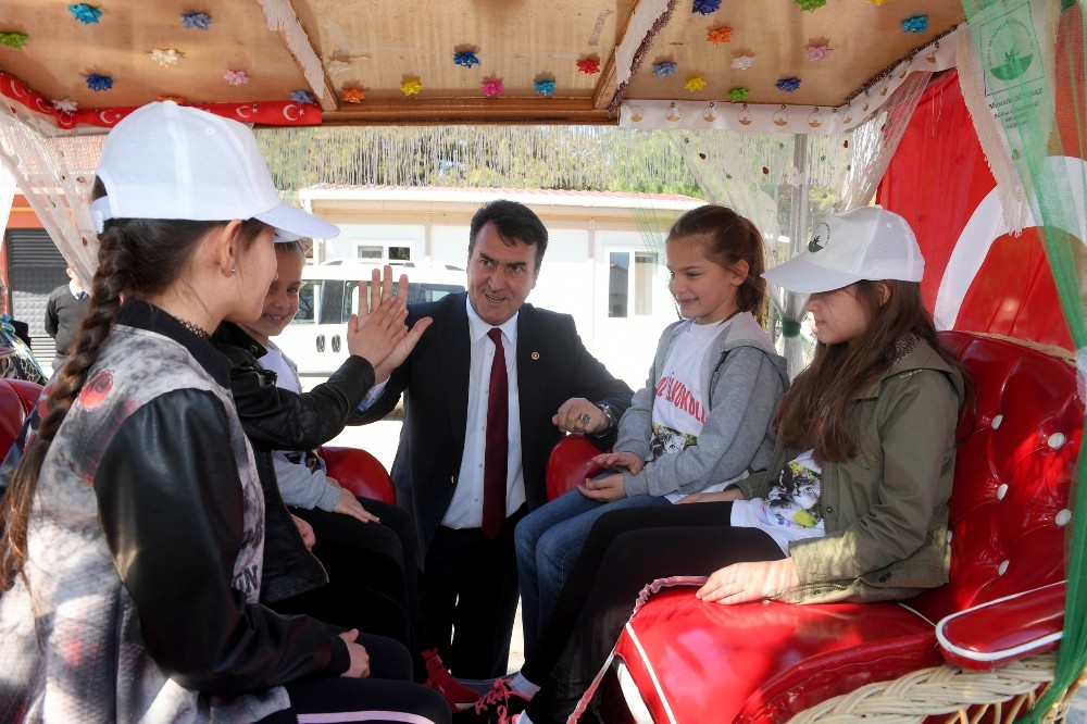 Kediler Artık Lüks Hastanede Doğum Yapacak