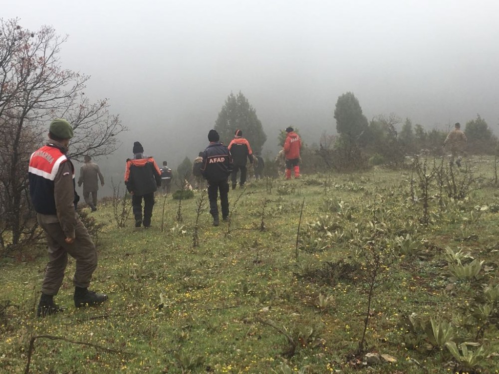 Köpek Keçileri Ahıra Geri Getirince, Çobanın Kaybolduğu Ortaya Çıktı