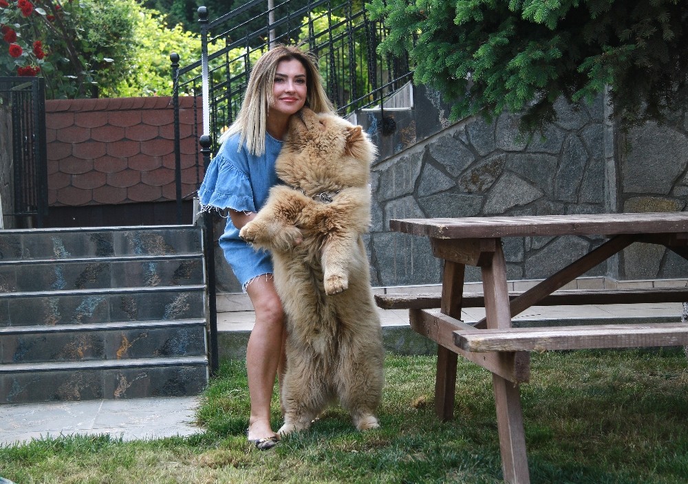 Küçük Emirin Duası Kabul Oldu, Hırsızların Çaldığı Herkül Bulundu