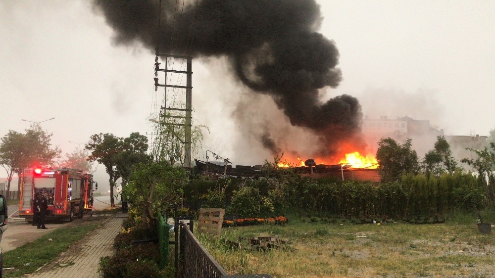 Kül Olan Çiçeklerin Arasından Yangını Söndürdüler