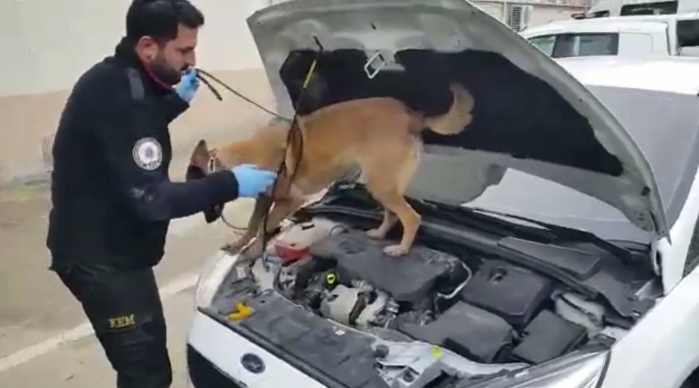 Narkotik Köpeği Rona Zehir Tacirlerinin Korkulu Rüyası Oldu