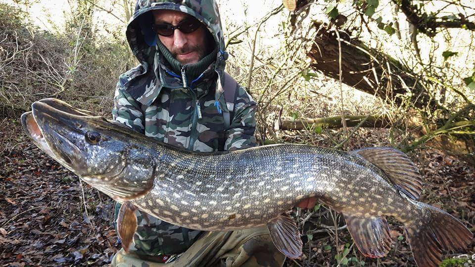 Turna Balığı Av Yasağı Kalktı