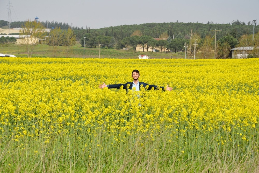 Üniversitenin Kanola Tarlası Fotoğraf Stüdyosu Gibi