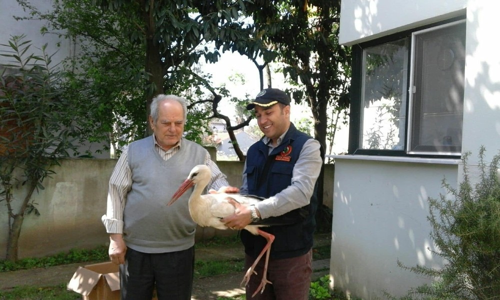 Yaralı Leyleğe Öğretmen Çift Sahip Çıktı.