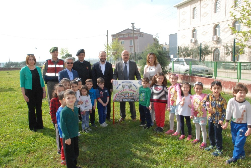 Zeytin Dalı Harekatında Şehit Olan Askerler İçin Zeytin Fidanı Diktiler