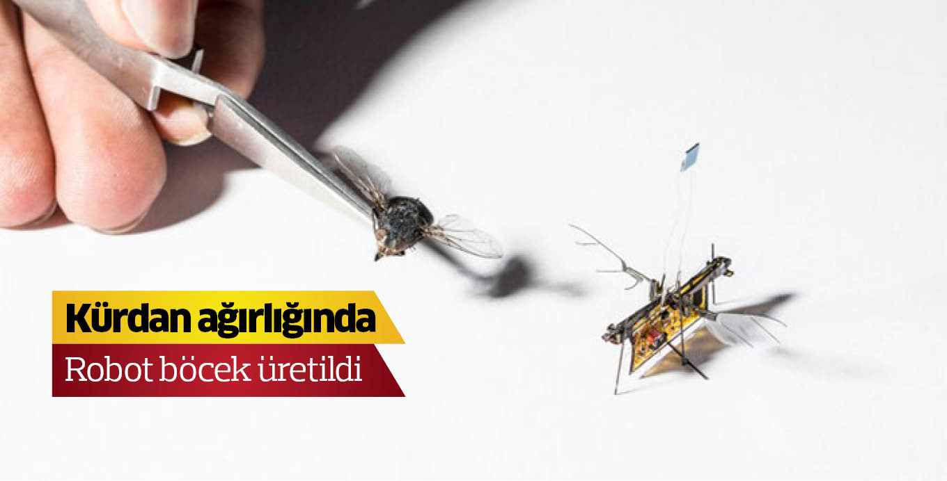 Kürdan ağırlığında robot böcek üretildi