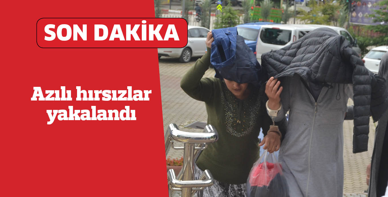 Azılı hırsızlar yakalandı
