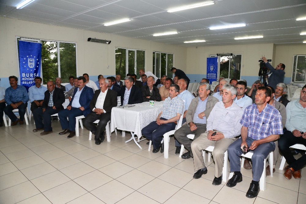 Büyükşehir, Büyükorhanın Yanında