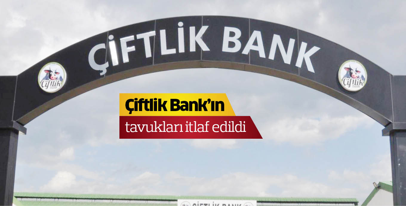 Çiftlik Bank’ın tavukları itlaf edildi
