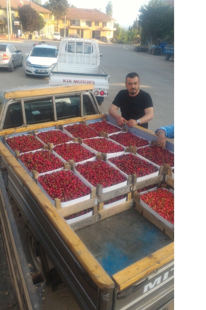 İznik Kirazı Kapışılıyor