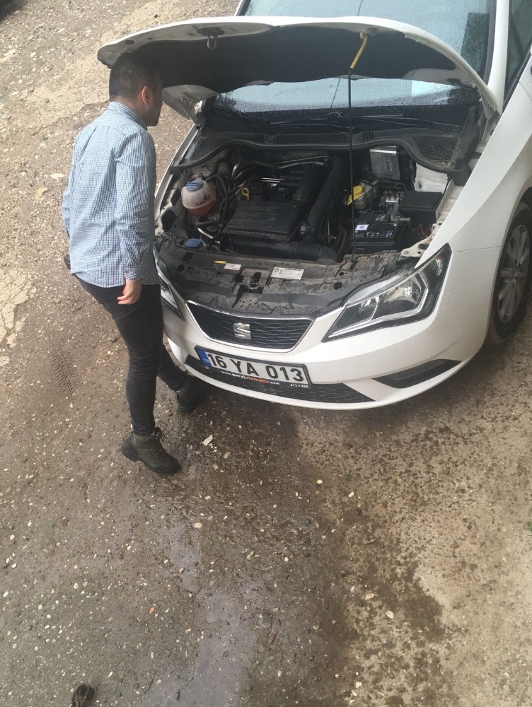 Otomobilin Motoruna Giren Kedi Bursayı Dolaştı