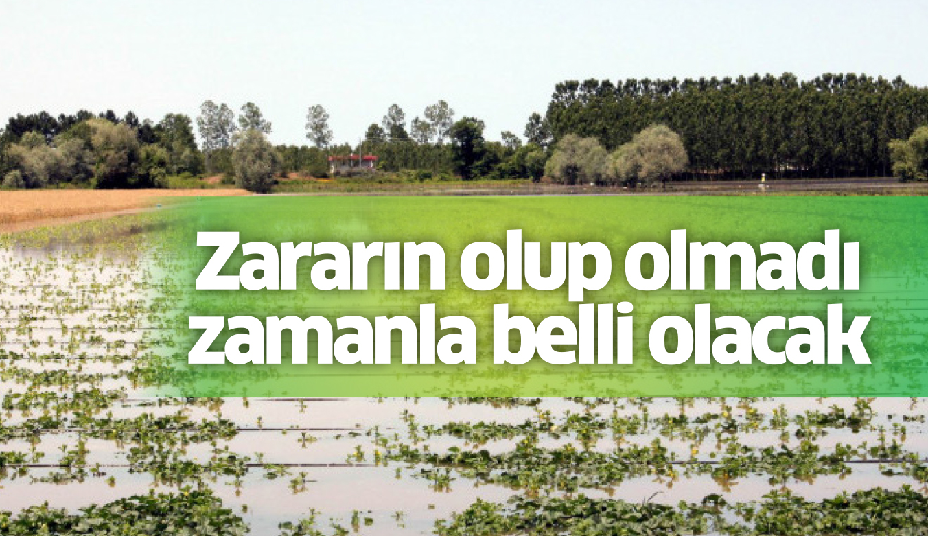 Yağmurlar çiftçiyi tedirgin etti