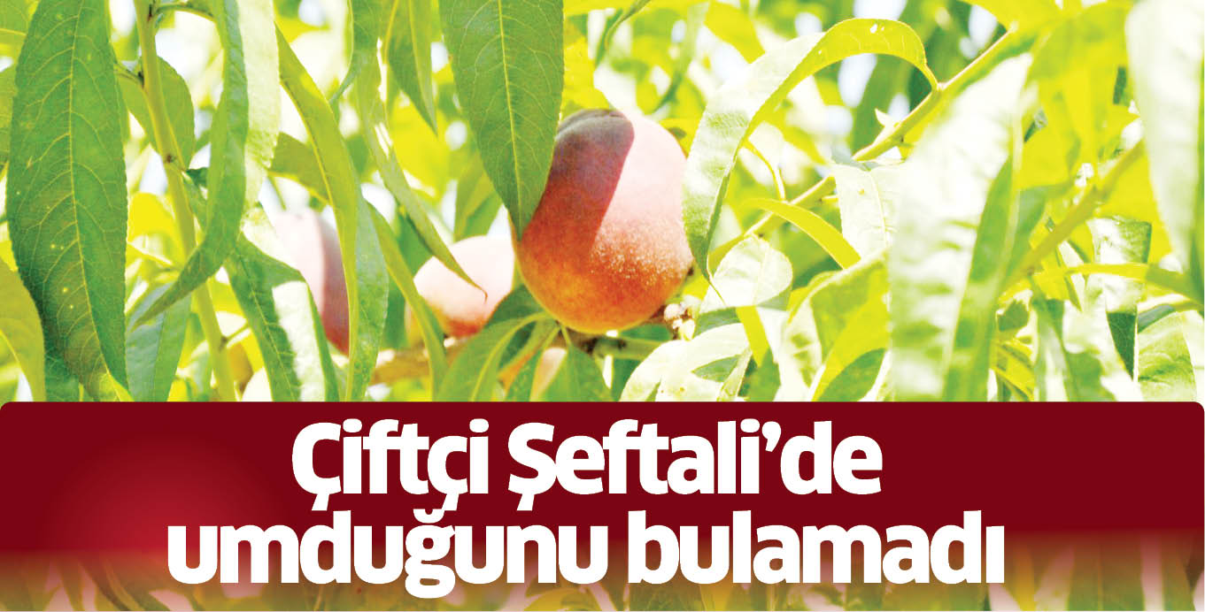 Çiftçi Şeftali’de umduğunu bulamadı