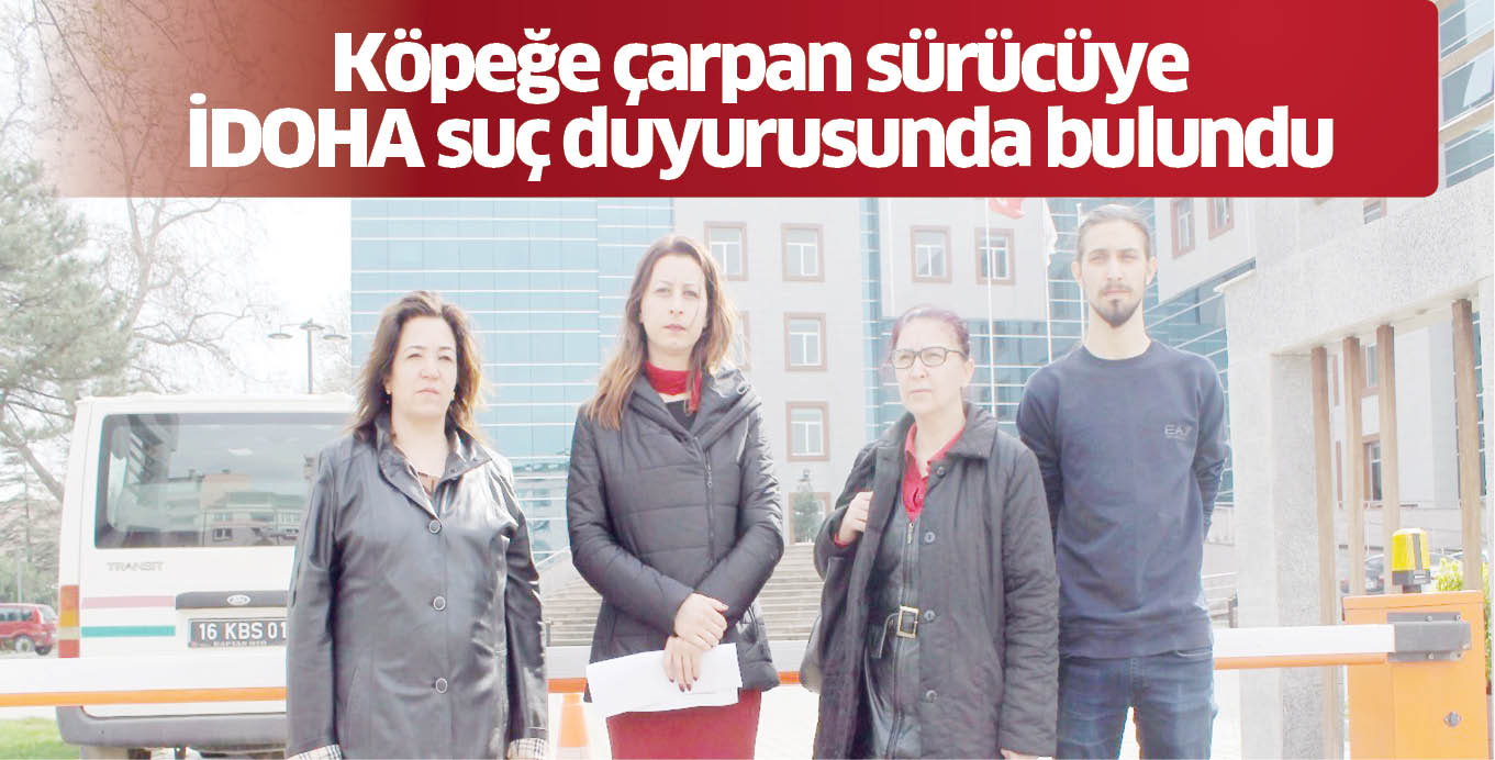 Köpeğe çarpan sürücüye İDOHA suç duyurusunda bulundu