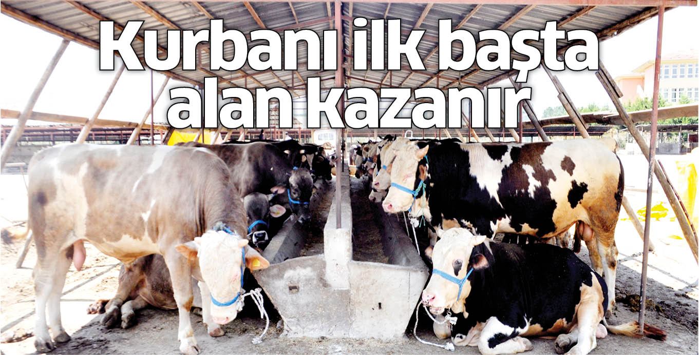 Kurbanı ilk başta alan kazanır