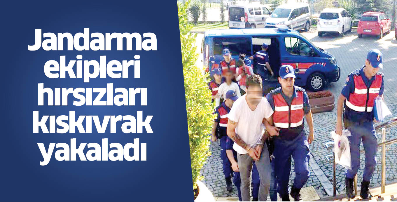 Jandarma ekipleri hırsızları kıskıvrak yakaladı