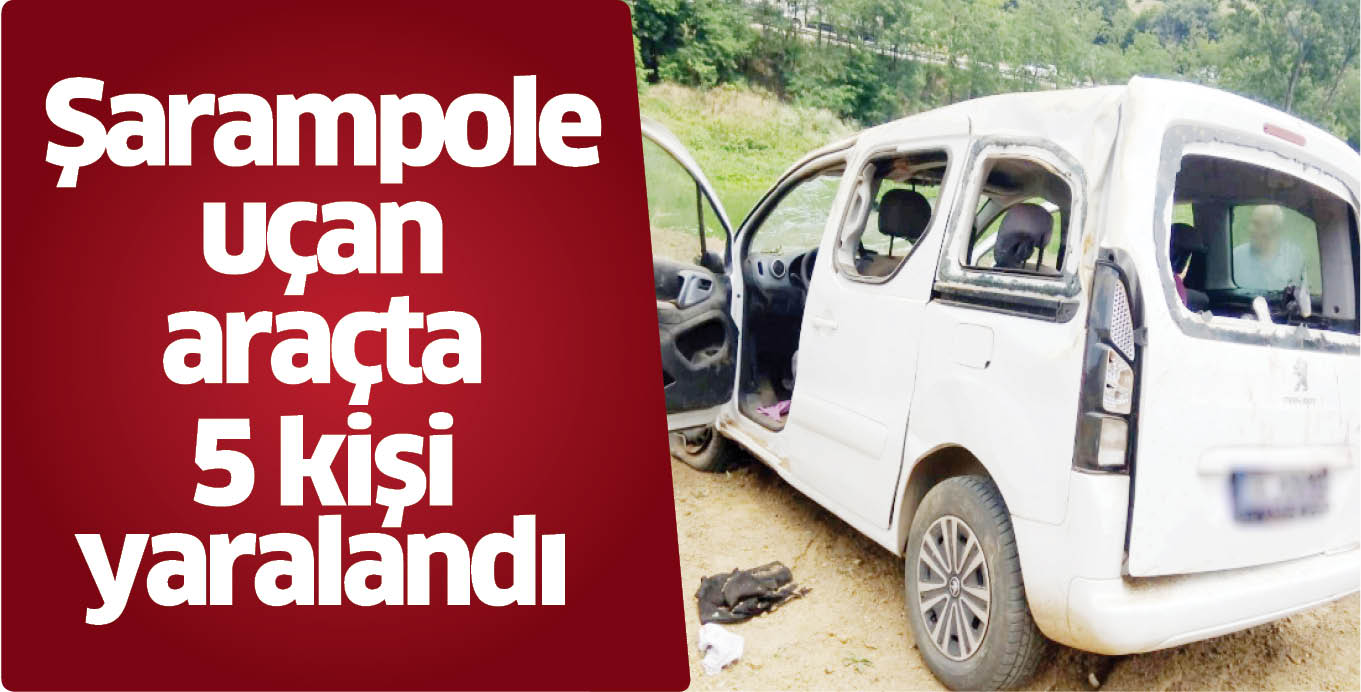 Şarampole uçan araçta 5 kişi yaralandı