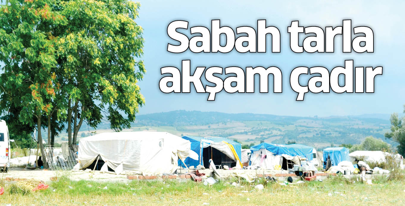 Sabah tarla, akşam çadır