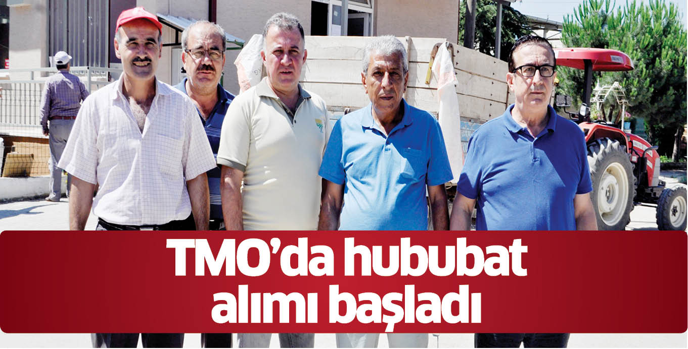 TMO’da hububat alımı başladı