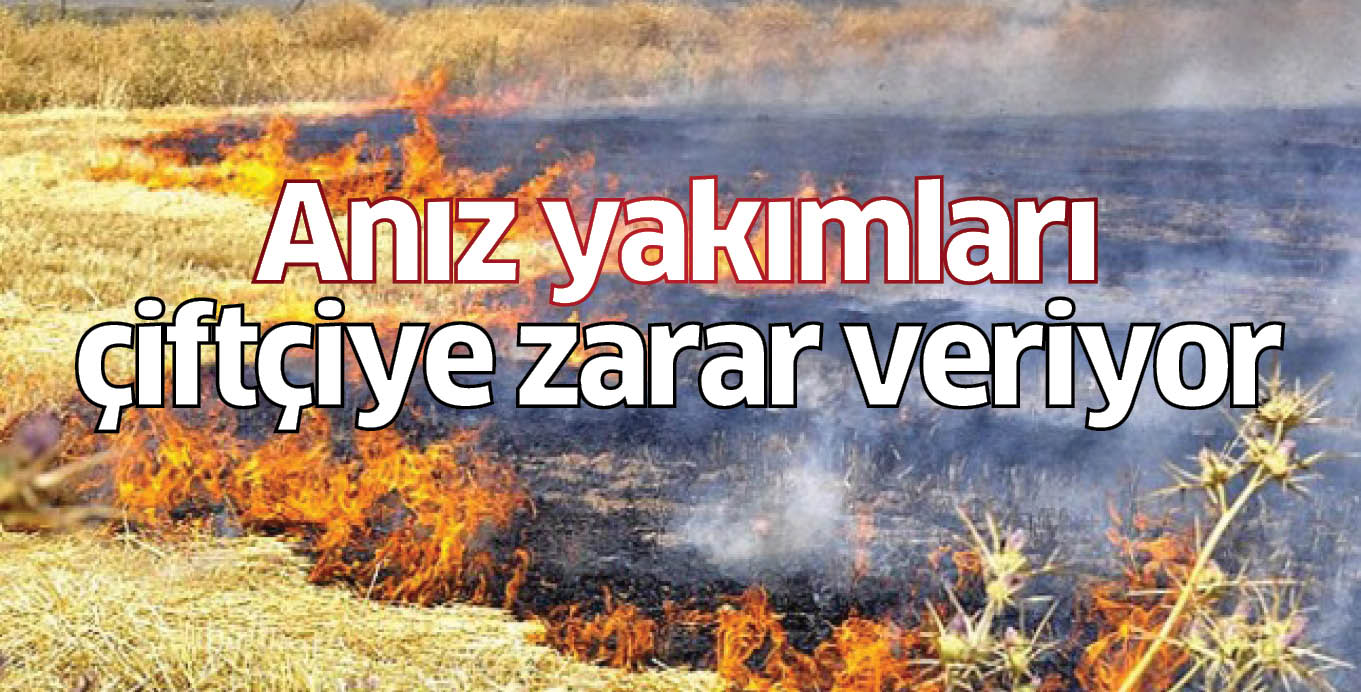 Anız yakımları  çiftçiye zarar veriyor