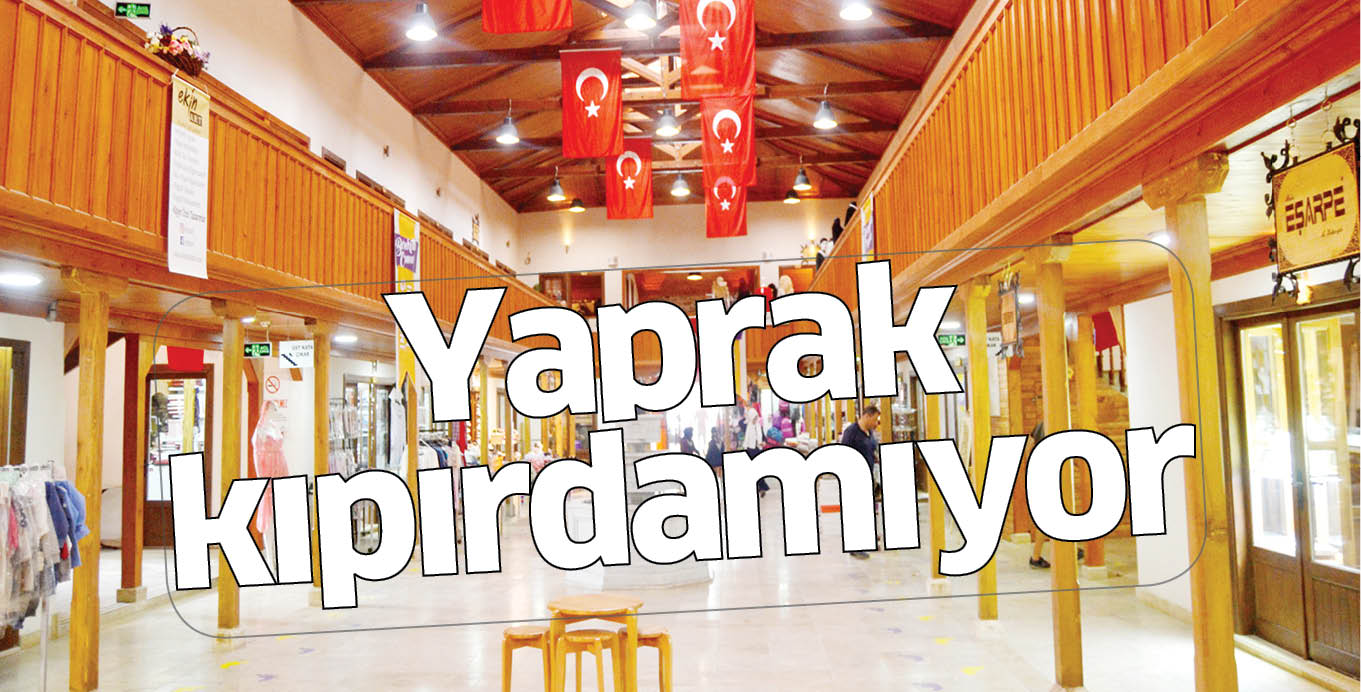 Yaprak kıpırdamıyor