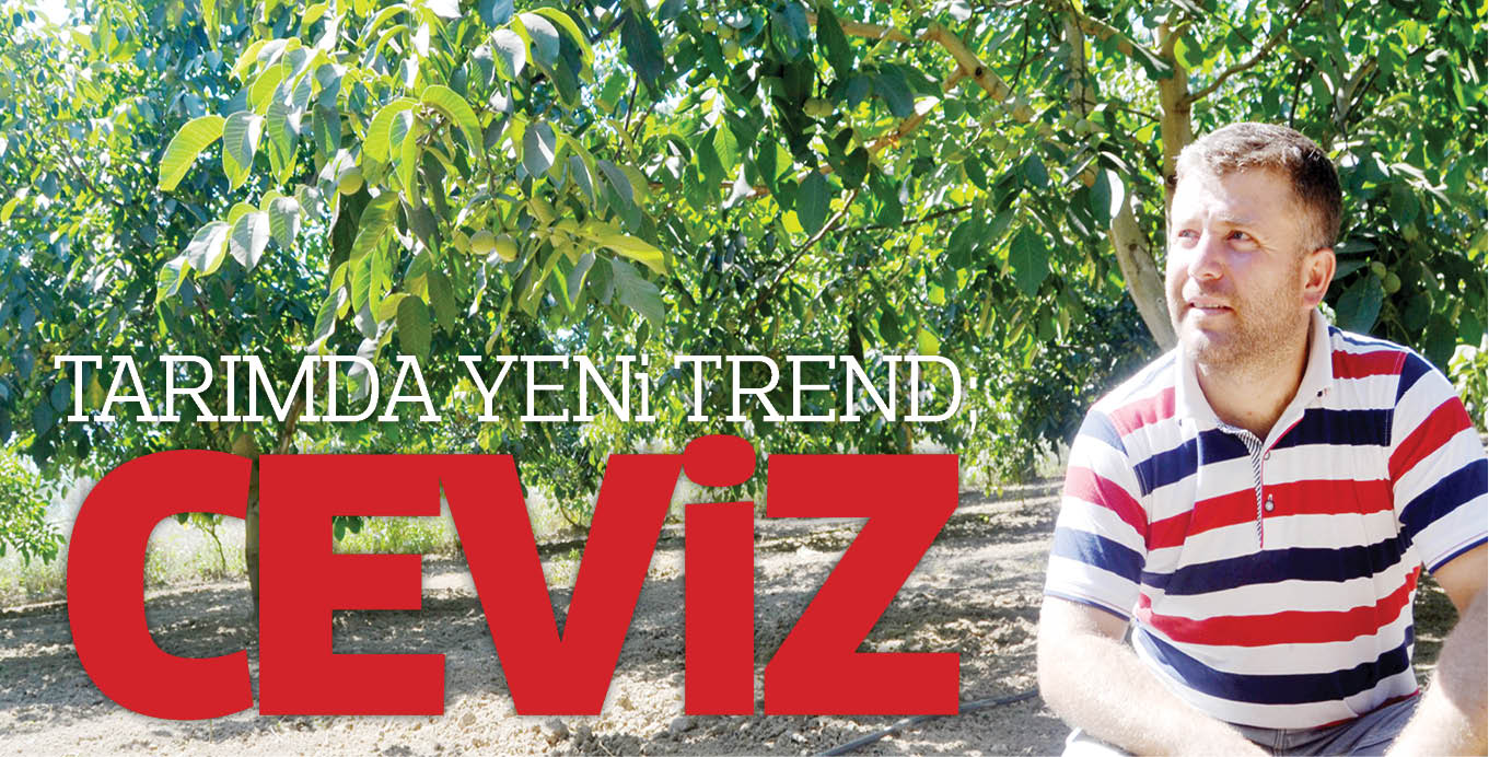 TARIMDA YENi TREND;  CEViZ