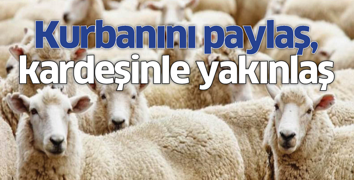 Kurbanını paylaş, kardeşinle yakınlaş