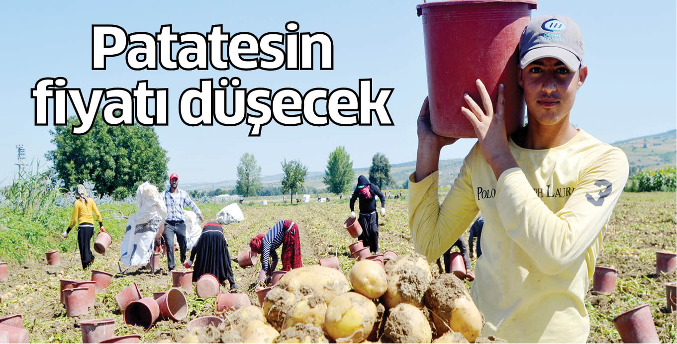 Patatesin fiyatı düşecek
