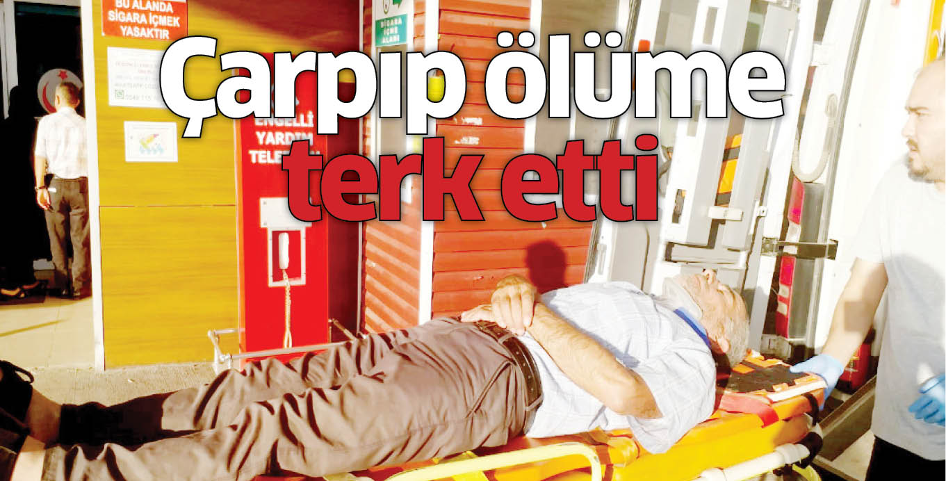 Çarpıp ölüme terk etti