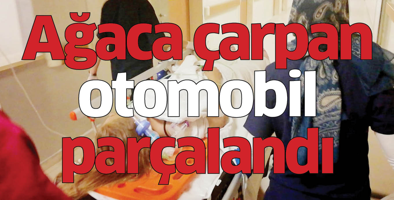 Ağaca çarpan otomobil parçalandı