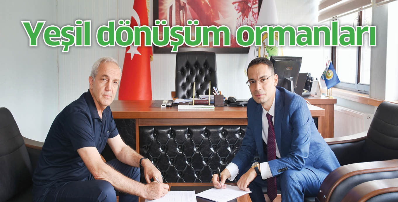 Yeşil dönüşüm ormanları