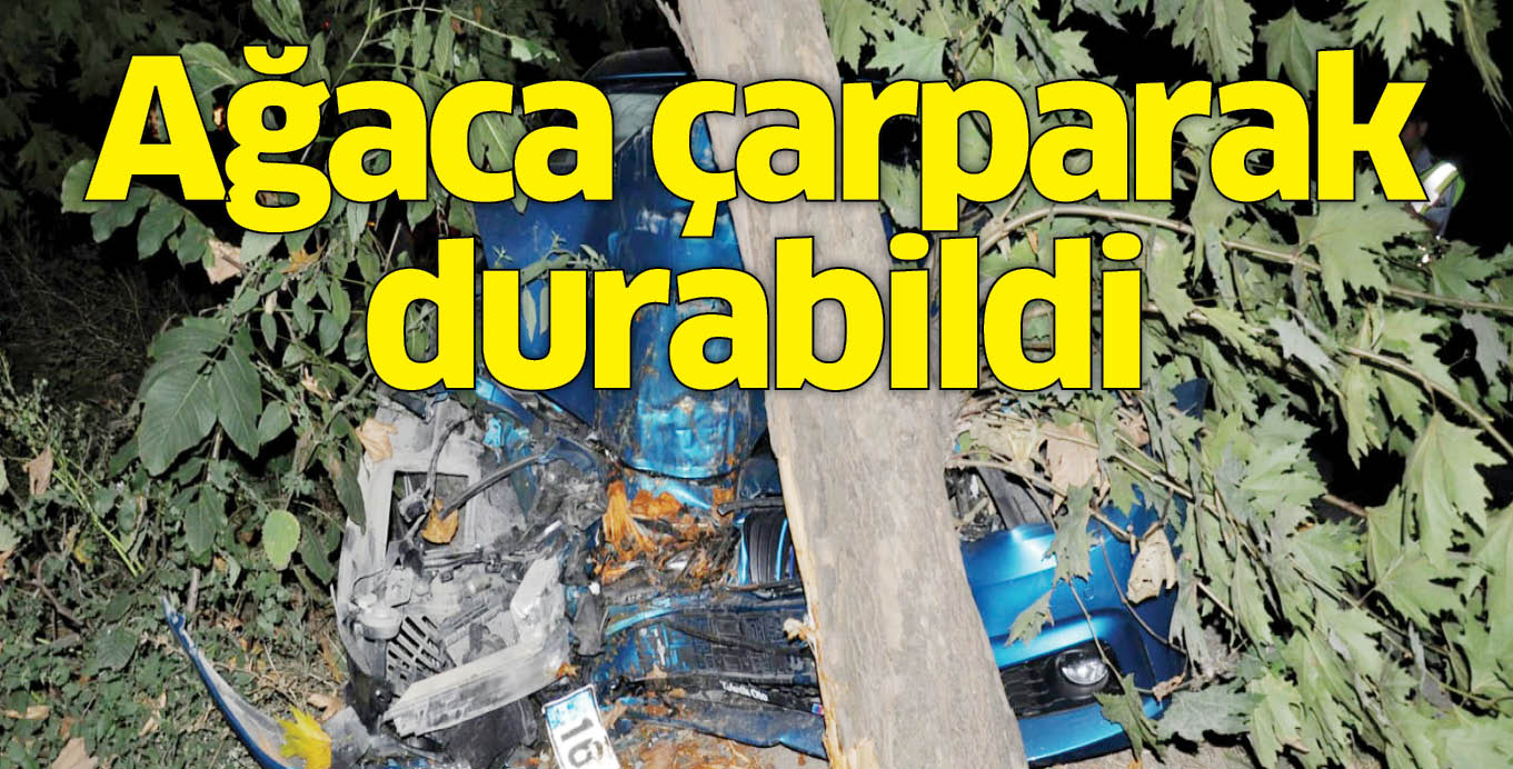 Ağaca çarparak durabildi