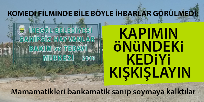 “KAPIMIN ÖNÜNDEKİ KEDİYİ KIŞKIŞLAYIN”