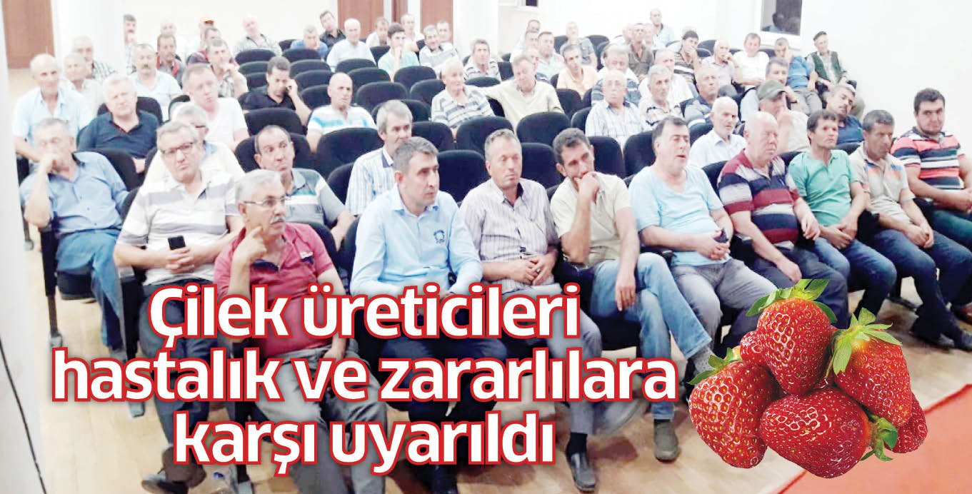 Çilek üreticileri hastalık ve zararlılara karşı uyarıldı