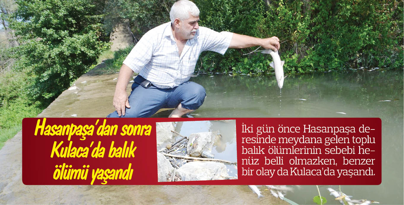 Hasanpaşa’dan sonra Kulaca’da balık ölümü yaşandı
