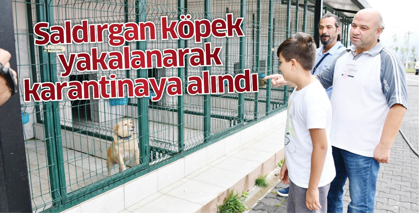 Saldırgan köpek yakalanarak karantinaya alındı